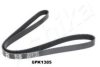 ASHIKA 112-6PK1385 V-Ribbed Belts